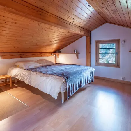 Charming Small With Aiguille Du Midi View Chalet Chamonix
